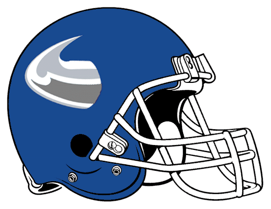 Buffalo Bulls 2001-2005 Helmet Logo iron on transfers for fabric